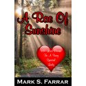A Rae Of Sunshine by Mark Farrar